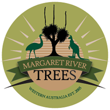 Margaret River Grass Trees