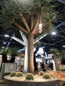 HIA Sydney home show